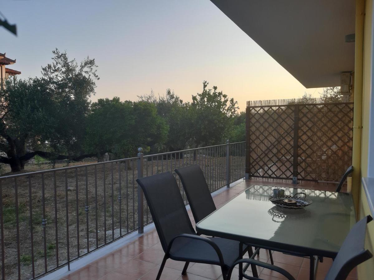 Olive Tree Apartments Πάργα Εξωτερικό φωτογραφία