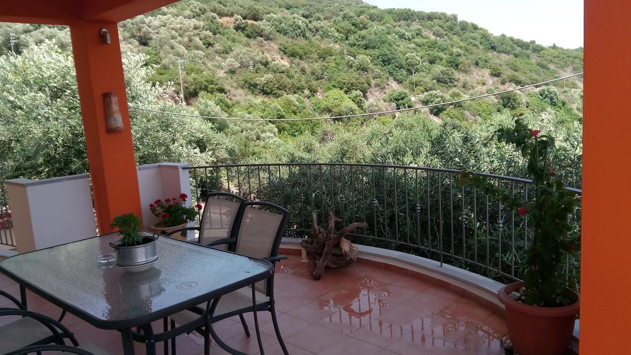 Olive Tree Apartments Πάργα Εξωτερικό φωτογραφία