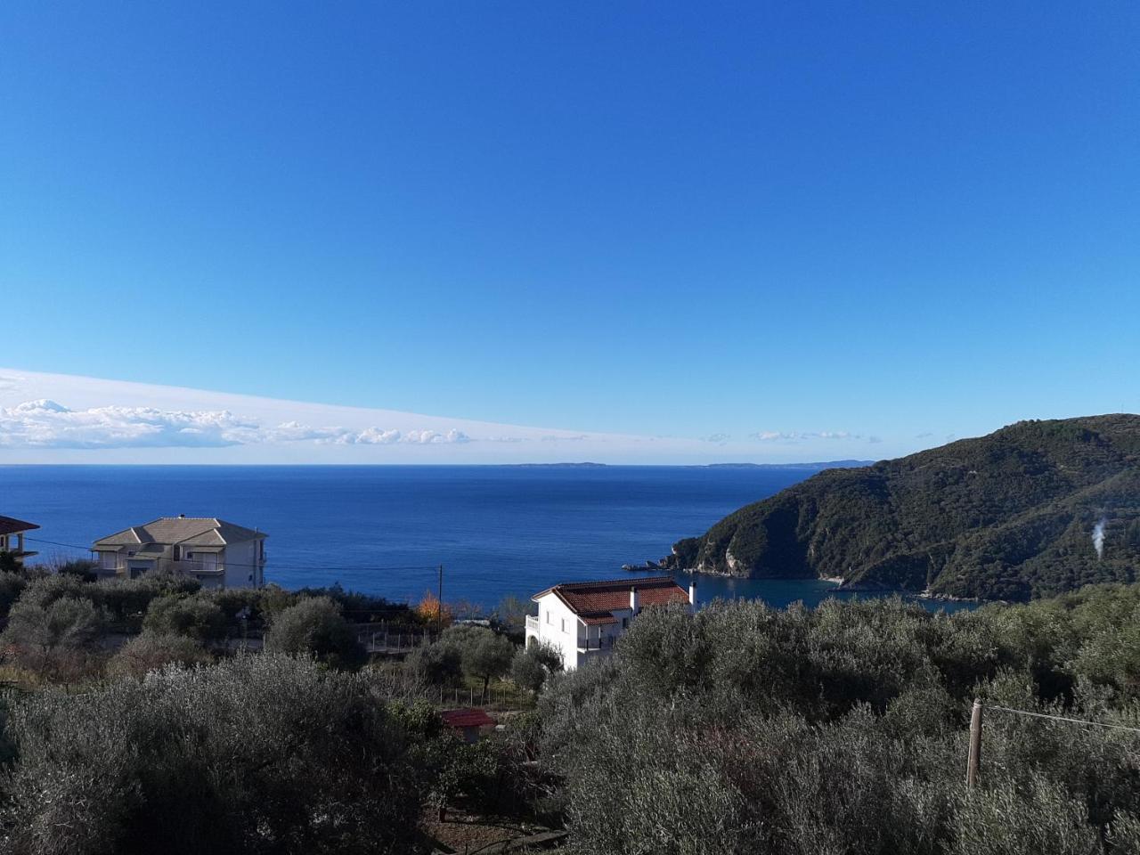 Olive Tree Apartments Πάργα Εξωτερικό φωτογραφία
