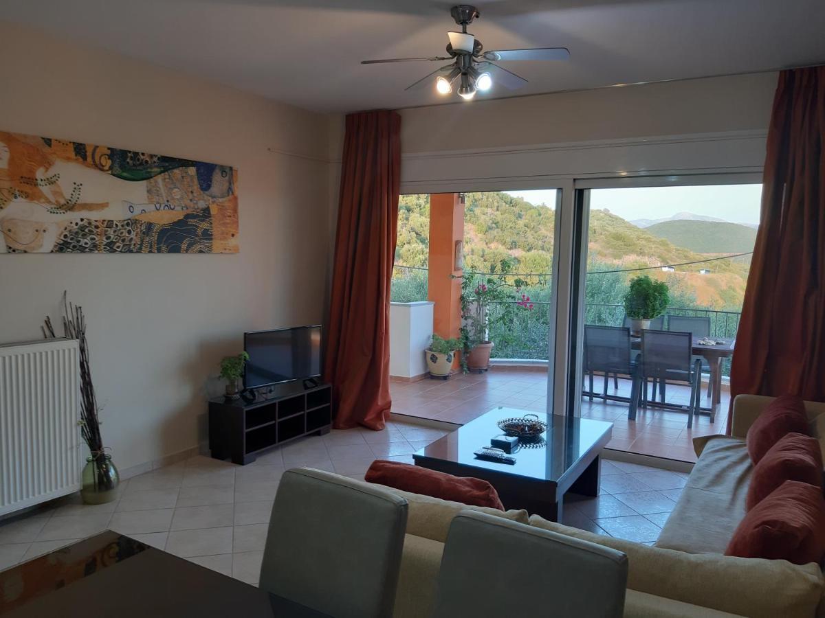 Olive Tree Apartments Πάργα Εξωτερικό φωτογραφία