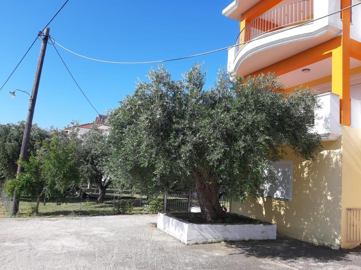 Olive Tree Apartments Πάργα Εξωτερικό φωτογραφία